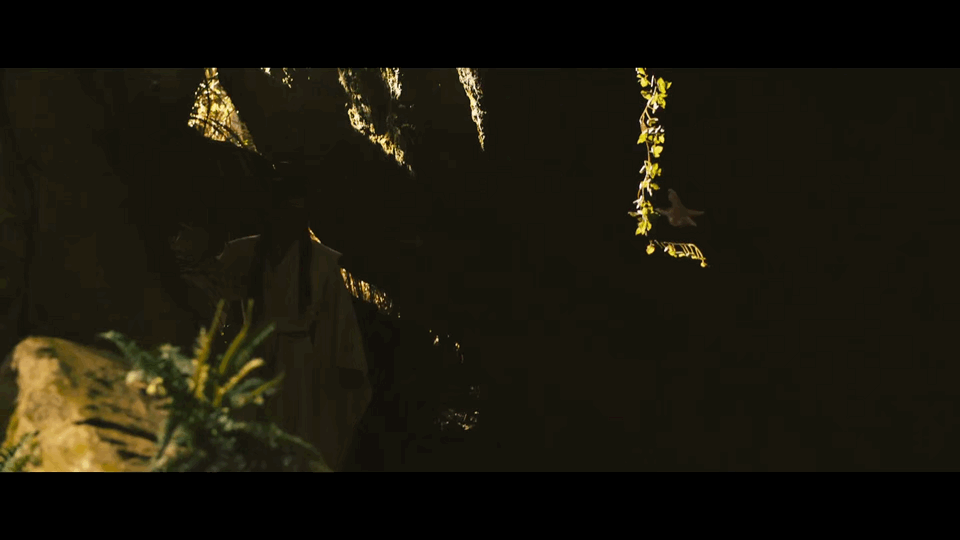 韩立有一室一厅了咱韩立可算有自己的一室一厅啦！秘境里的灵眼之泉，韩立可以在这一方