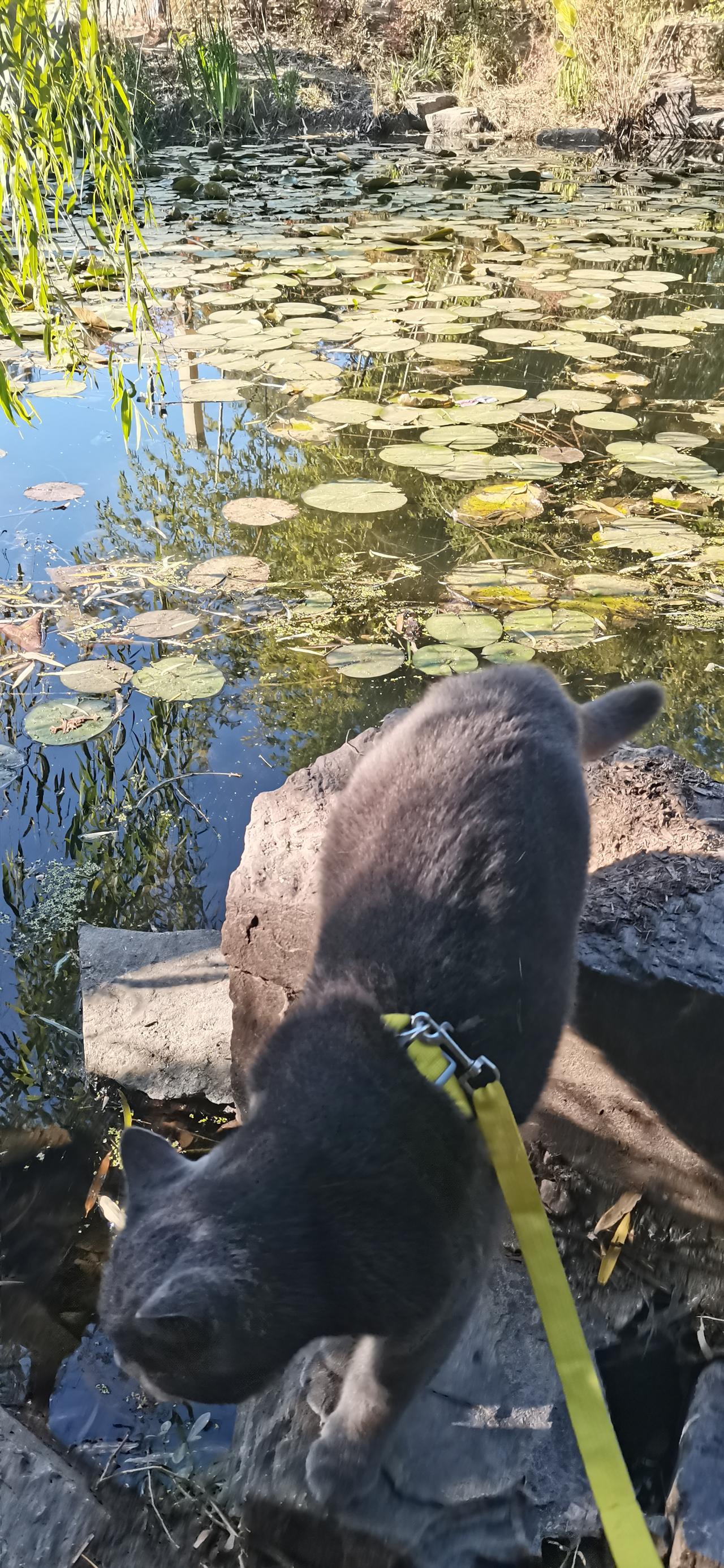 百度真是太恶心啦，抽到的金币都不能提现，每次都说“提现次数已用完，下次早点来啊”