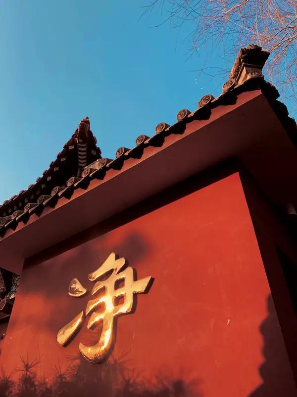 钓鱼就图个清净，避开吵闹才能享受那份宁静。清明前后想钓大板鲫，可别死守浅滩。浅滩