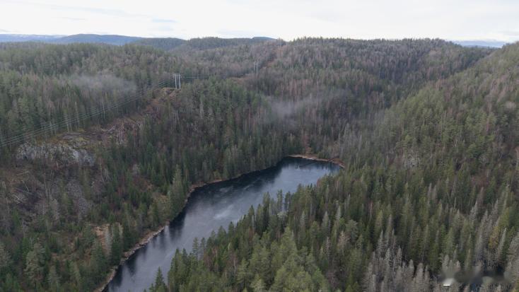 挪威稀土矿开发与生物多样性保护的矛盾 12月20日经济发展与环境保护本就是一对矛