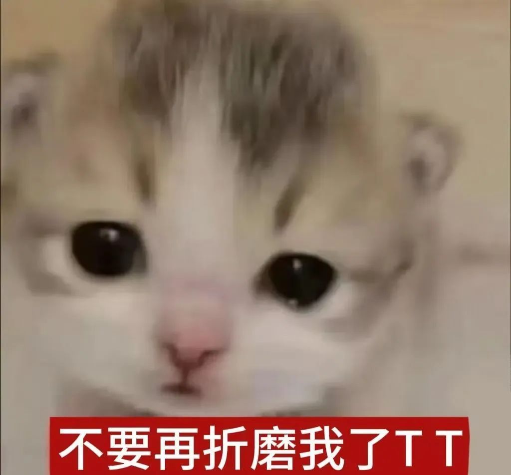 我现在真的要困爆了