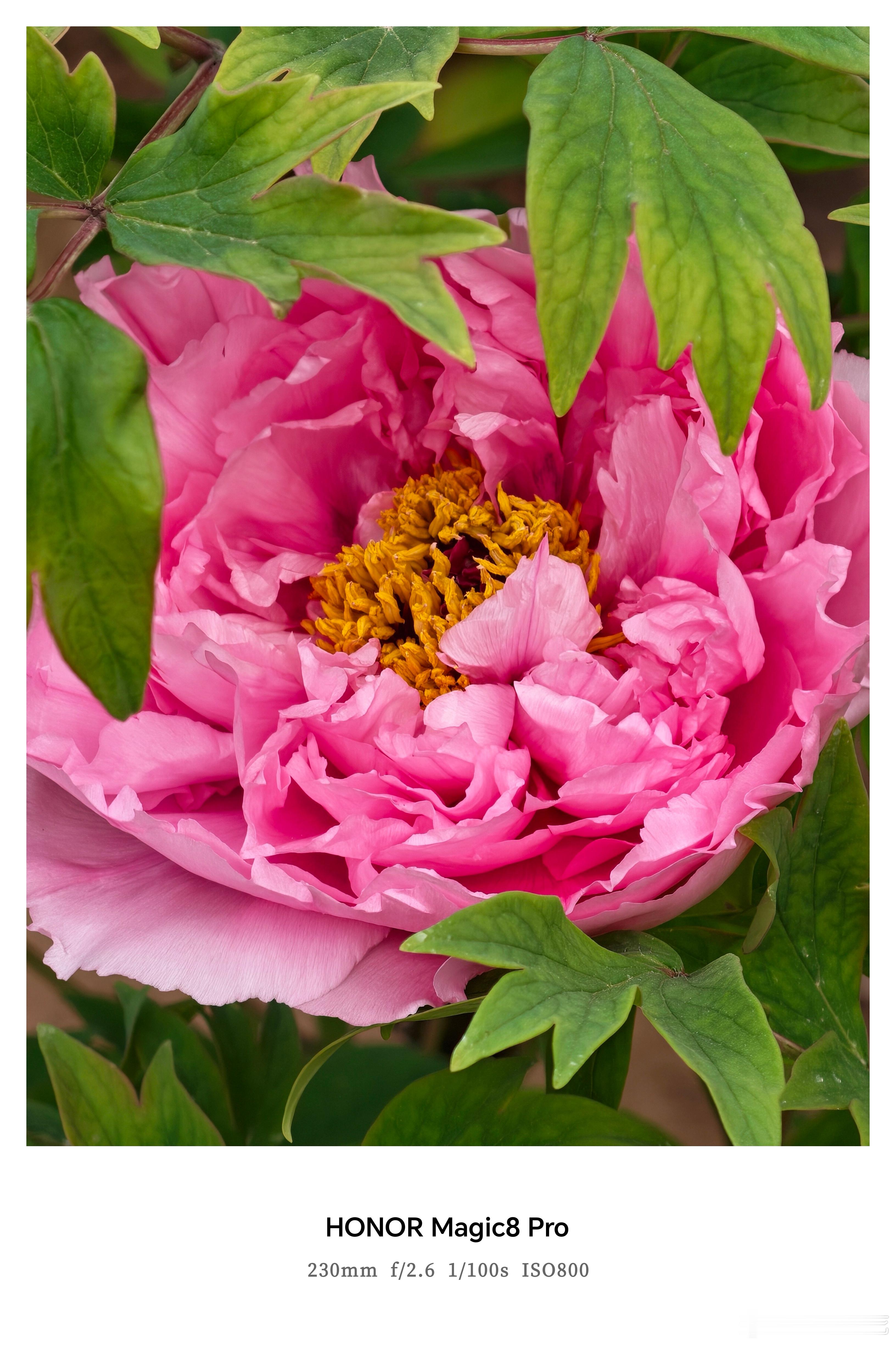 谁懂这次换手机的意义 📱看着各地文旅放大招，新手机太给力了！原图直出无压力，转