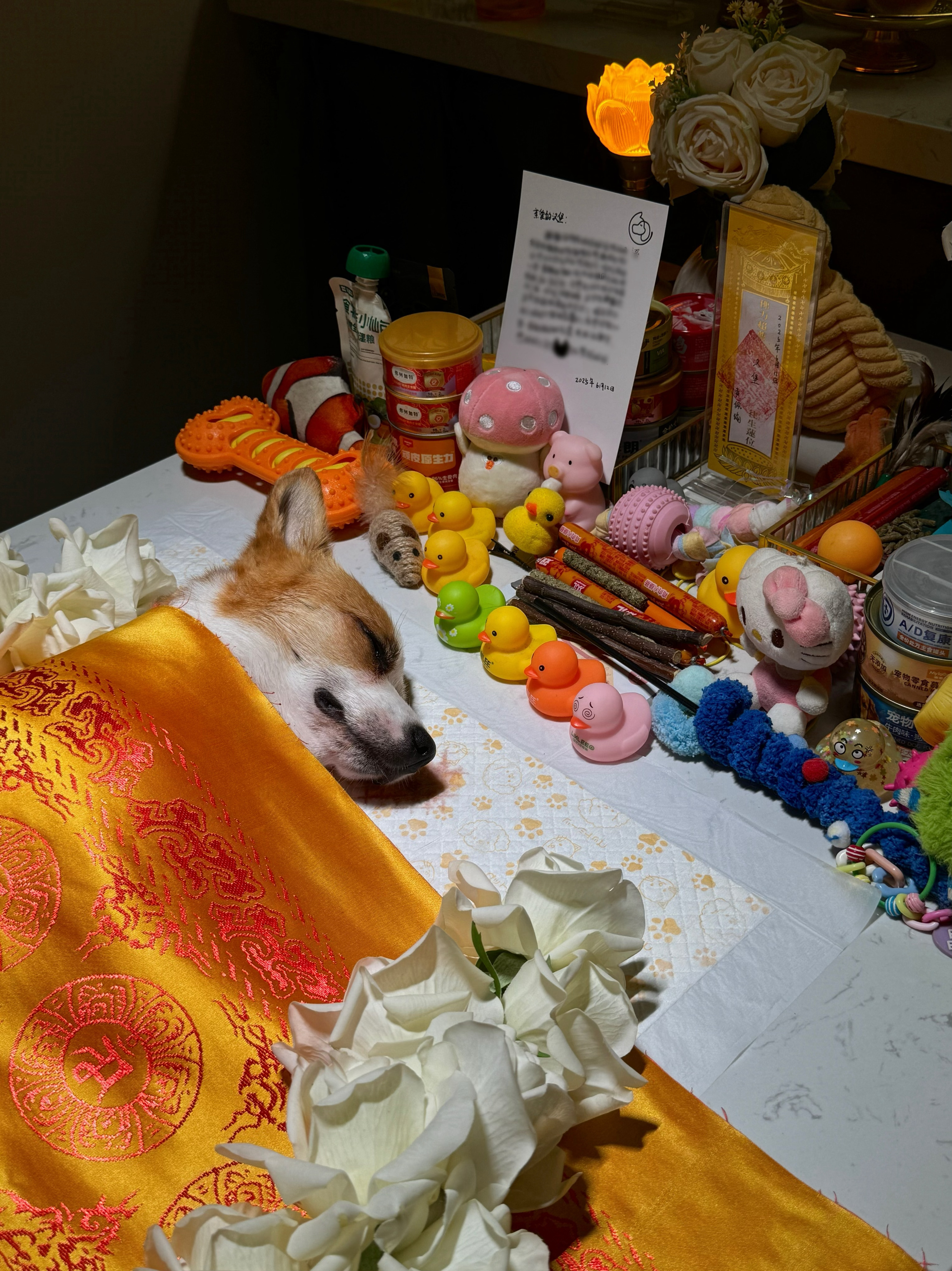 再见咯 小汉堡 下次还当妈妈的乖宝宝 ​​​
