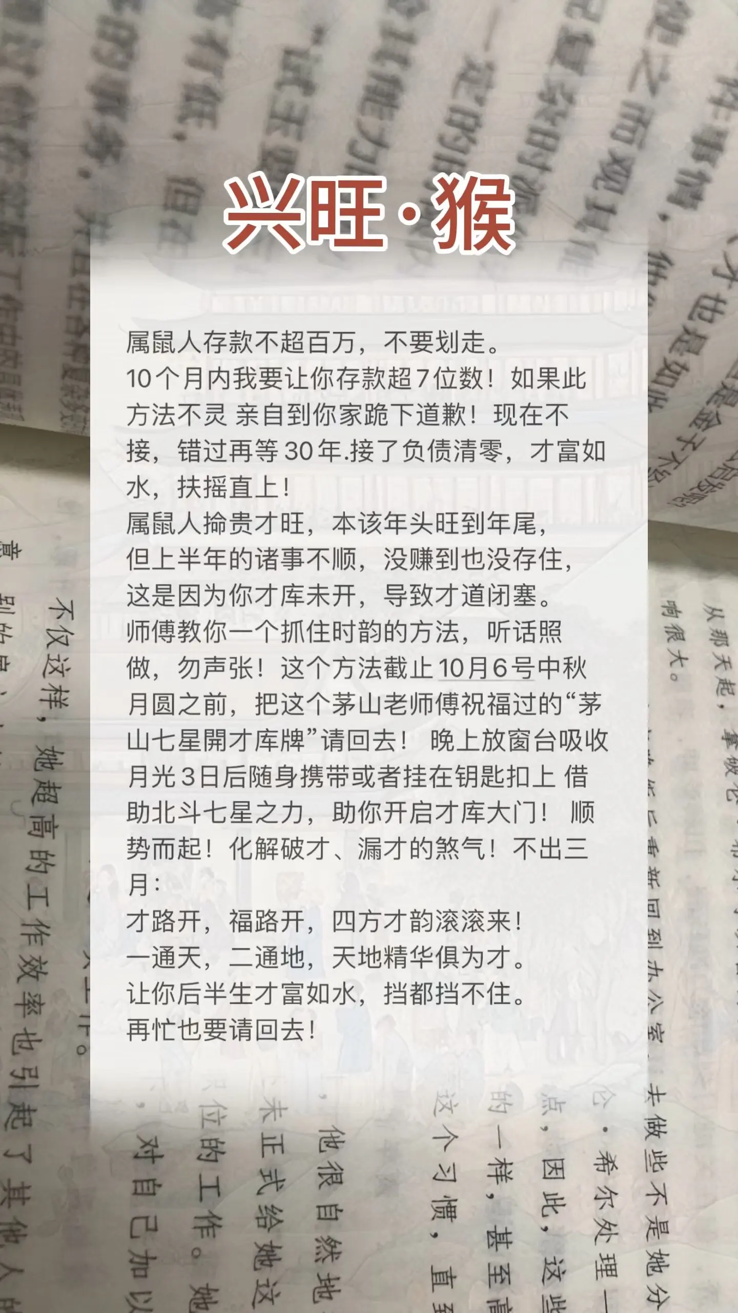 1972年的鼠 1984年老鼠 1996鼠 属鼠的人 生肖鼠