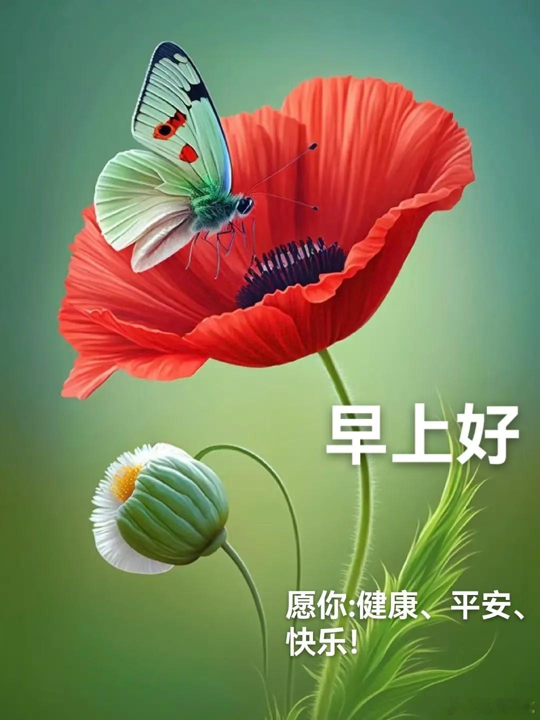 每天摸鱼打卡     心情开朗万事好，知足常乐无烦恼；无忧无虑人生路，开心年轻不