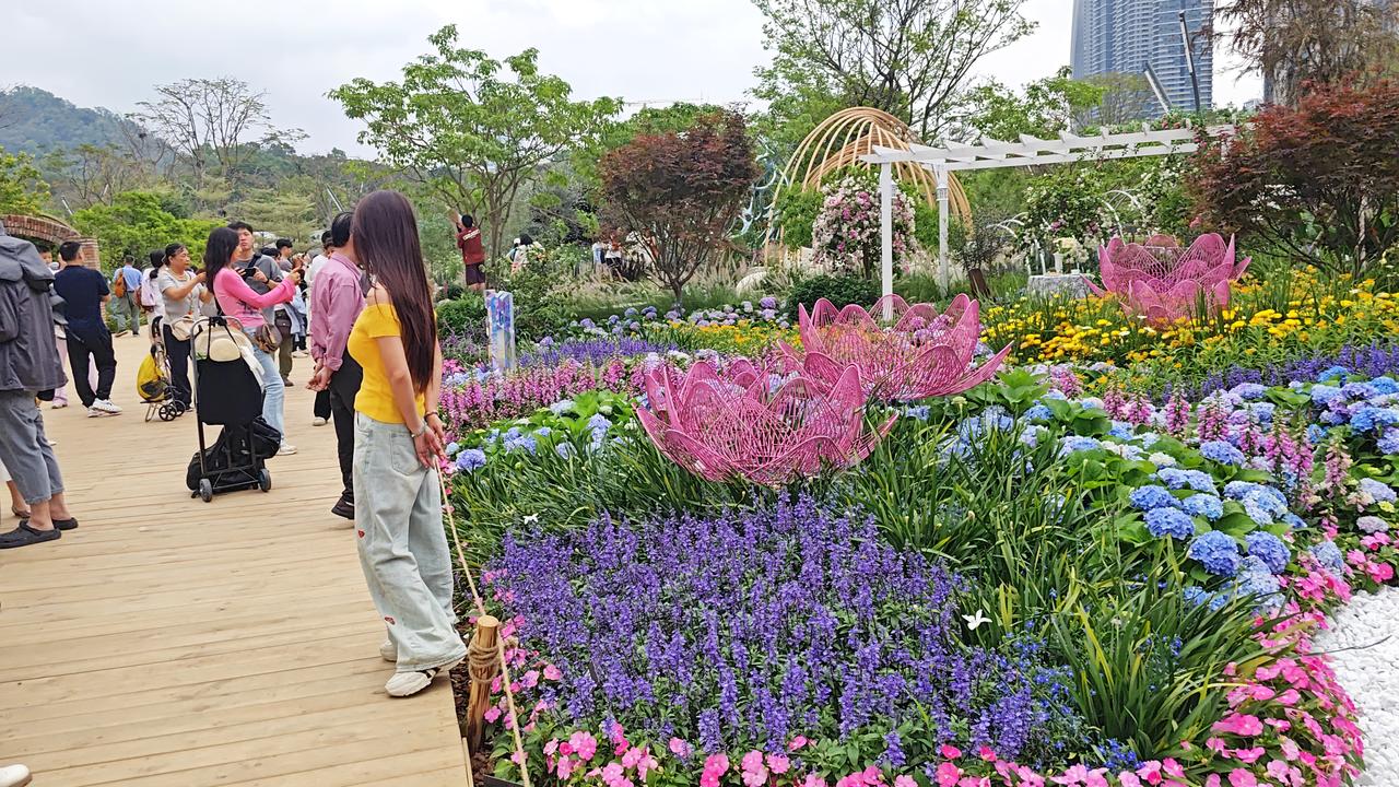 昨天，深圳突来狂风暴雨，正在举办的深圳粤港澳大湾区发展也受到波及，很多网友都关心