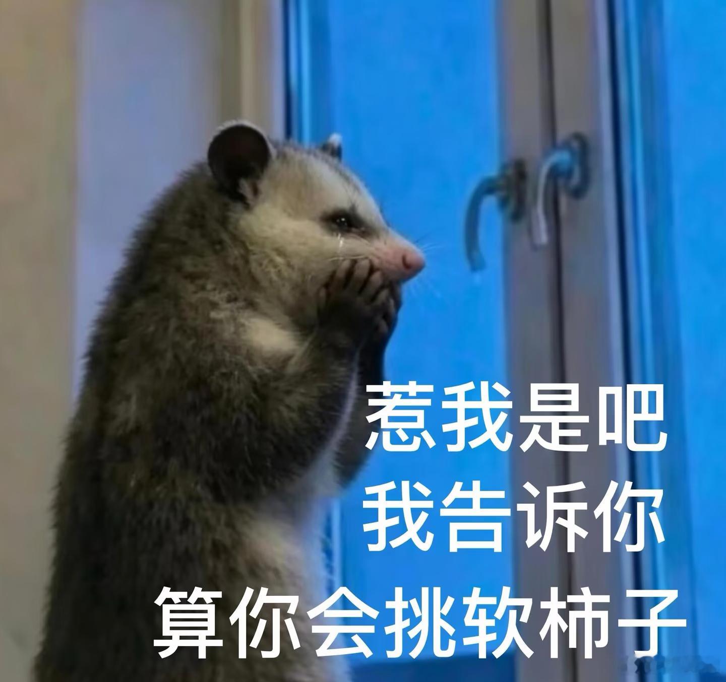 在外一定要注意幸福者退让原则 其实我挺讨厌一句话，就是：你怎么这么怂？没有怂人，