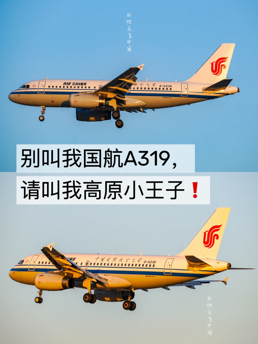 别叫我国航A319，请叫我高原小王子❗️