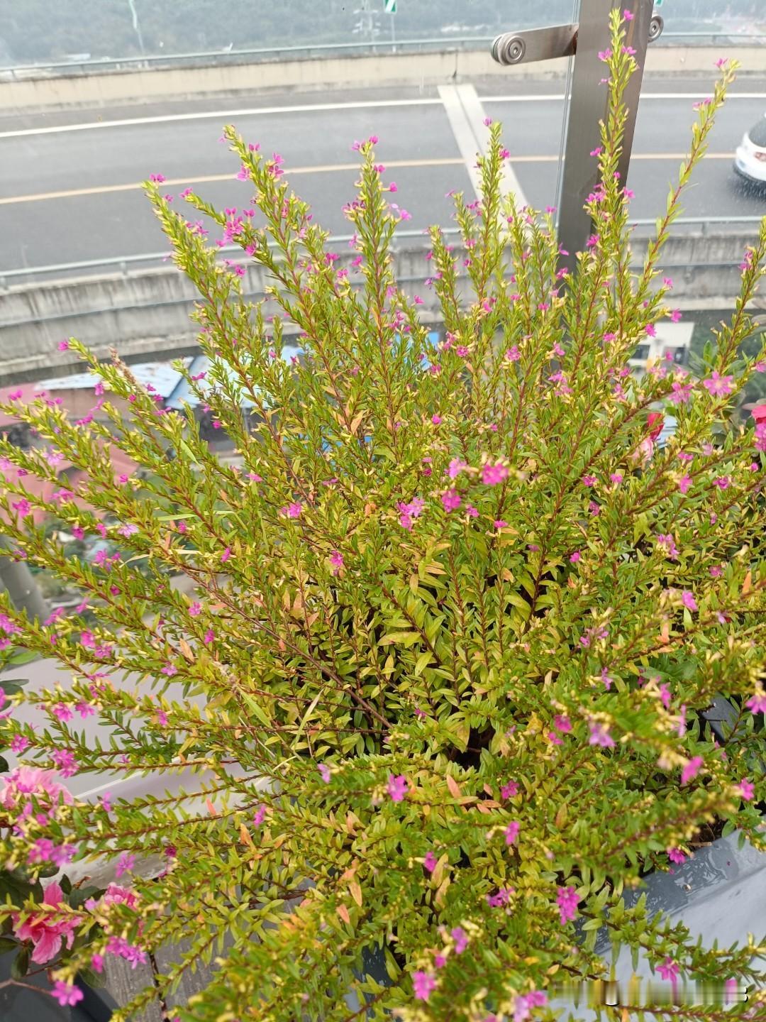 婚姻让你明白哪些道理凡事要靠自己强人起来。才能有说走就走的底气。