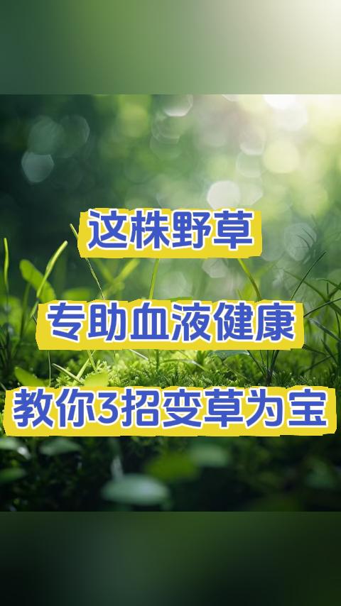 这株野草专助血液健康，教你3招变草为宝。大家好，我是张广蕊医生，您是否常被面色苍