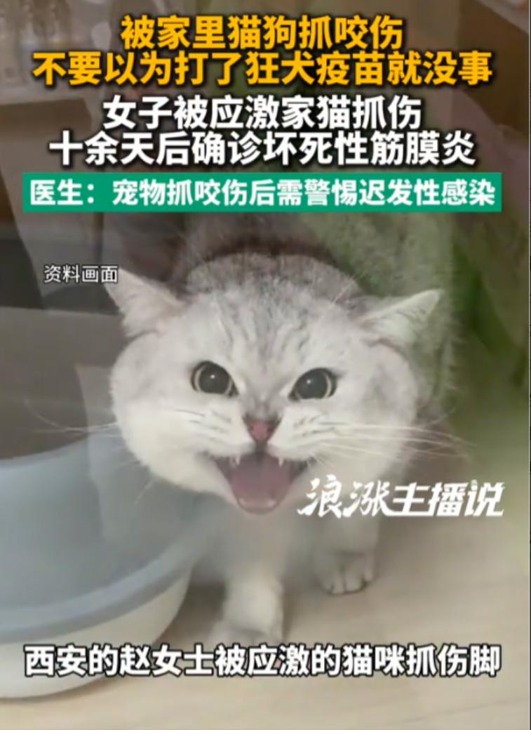 后怕！据8月7日西安报道，一名女子被家猫抓出血后，全程按规范接种了疫苗，伤口也很