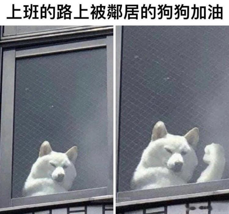 加油!!! 