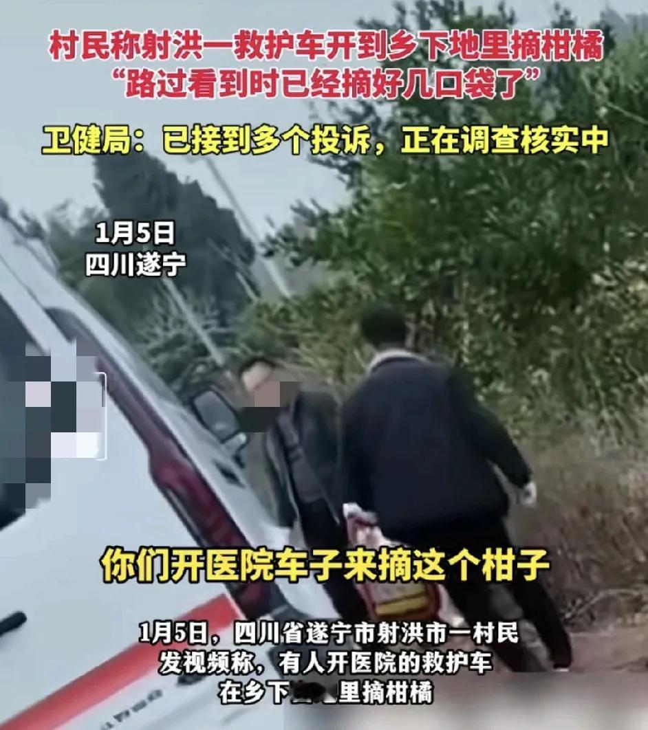 1月5日，四川遂宁射洪有村民反映有开着救护车的人员到当地摘柑橘，村民发现的时候他