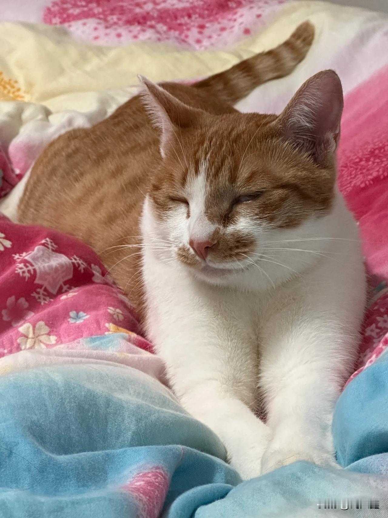 好困啊[泪奔][泪奔][泪奔]