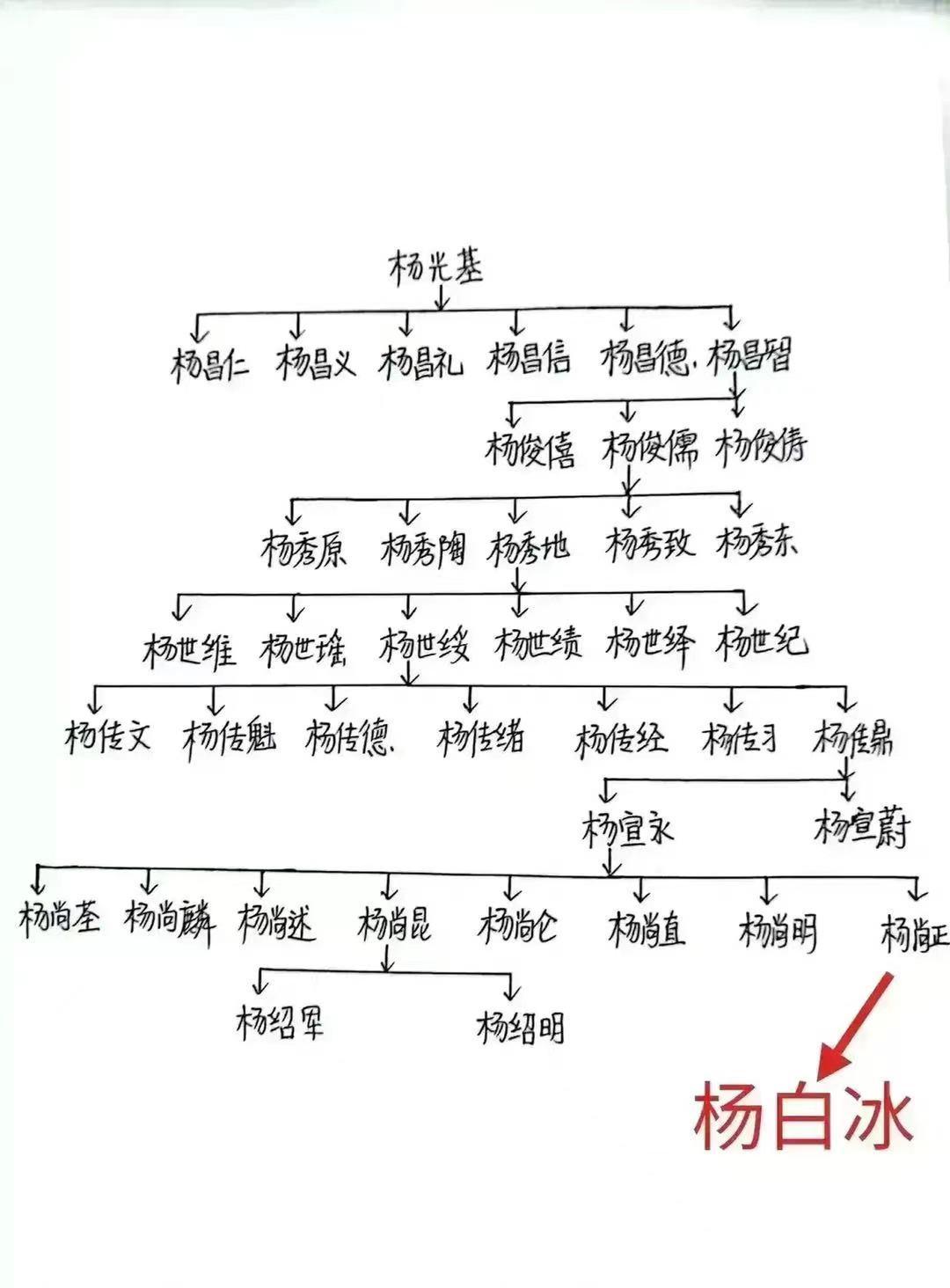 杨白冰家谱一览表。
 
杨白冰（原名杨尚正）：党员，抗战名将，杨主席弟弟，193