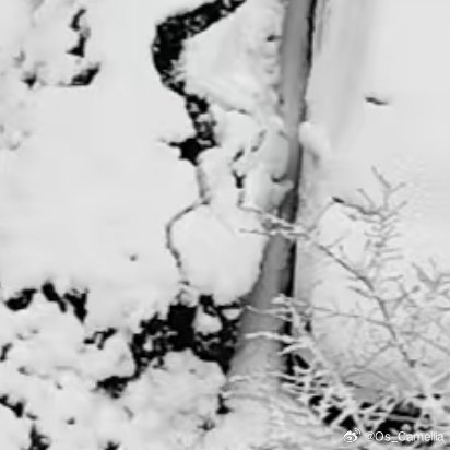 1200忙时尽兴，闲时有趣，愿你做一个满载能量的人，在每一个晴朗的日子里，用热爱