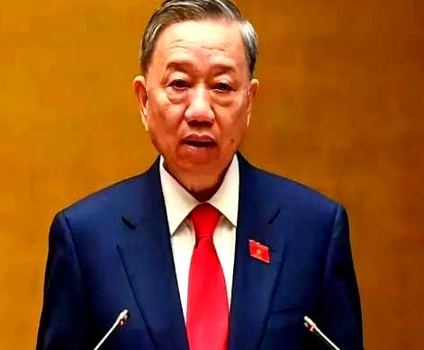 越南这次真是把“反复无常”演绎到了极致！日本驻越大使直接摊牌，百亿美元的宁顺2号