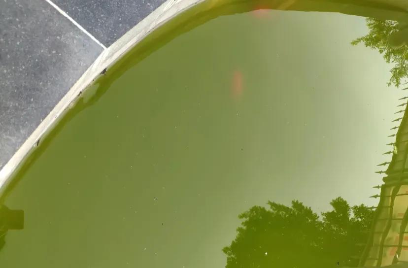 今天遇到了一个有毒的同事，之前他因种种原因好久没来上班，这一周来上班了，迟到早退