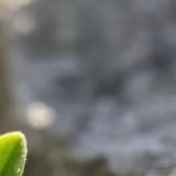 相信自己！！！只要你不放弃自己，用力去向下扎根，总有一天你会破土而出，迎来你想要