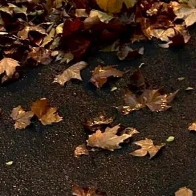 阳光信用 🌿阳光信用 🌿每日一善 终而复始，日月是也。死而复生，四时是也。奇