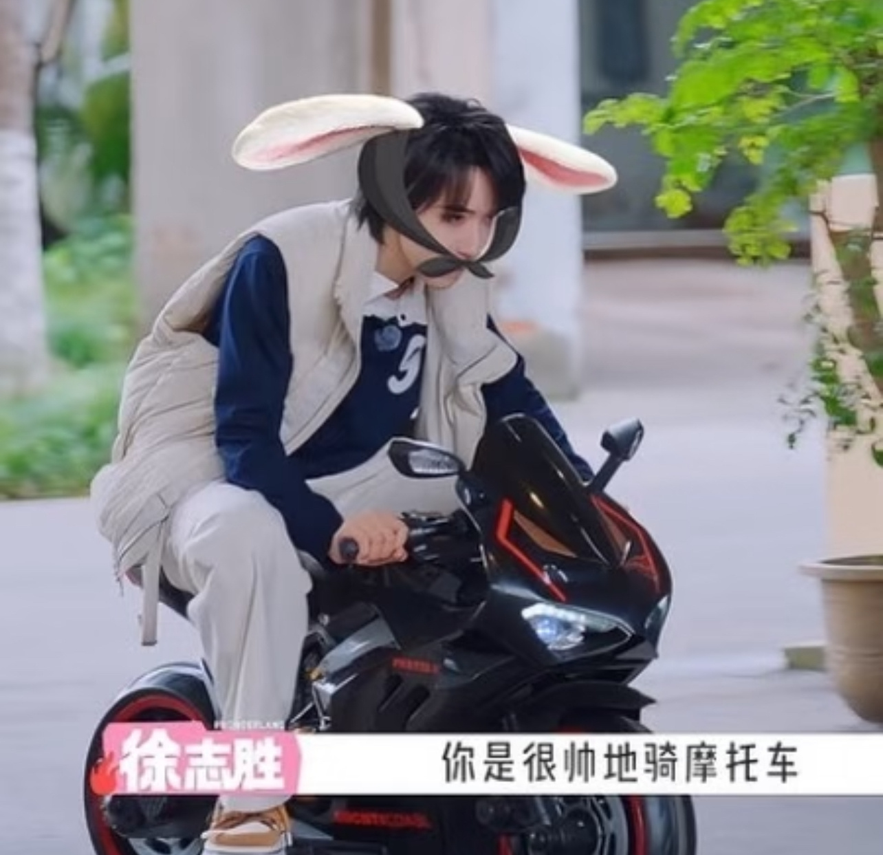 五十公里桃花坞 我的评分：现实中谁不想抽个贺峻霖盲盒不依赖这个兔兔贺峻霖算长大吗