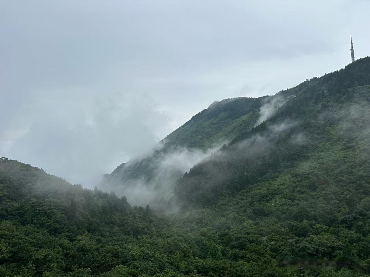 ❤️人这一生最该学会的本事从不是拼命赚钱，也不是打扮自己，而是无论遇到多大风雨，