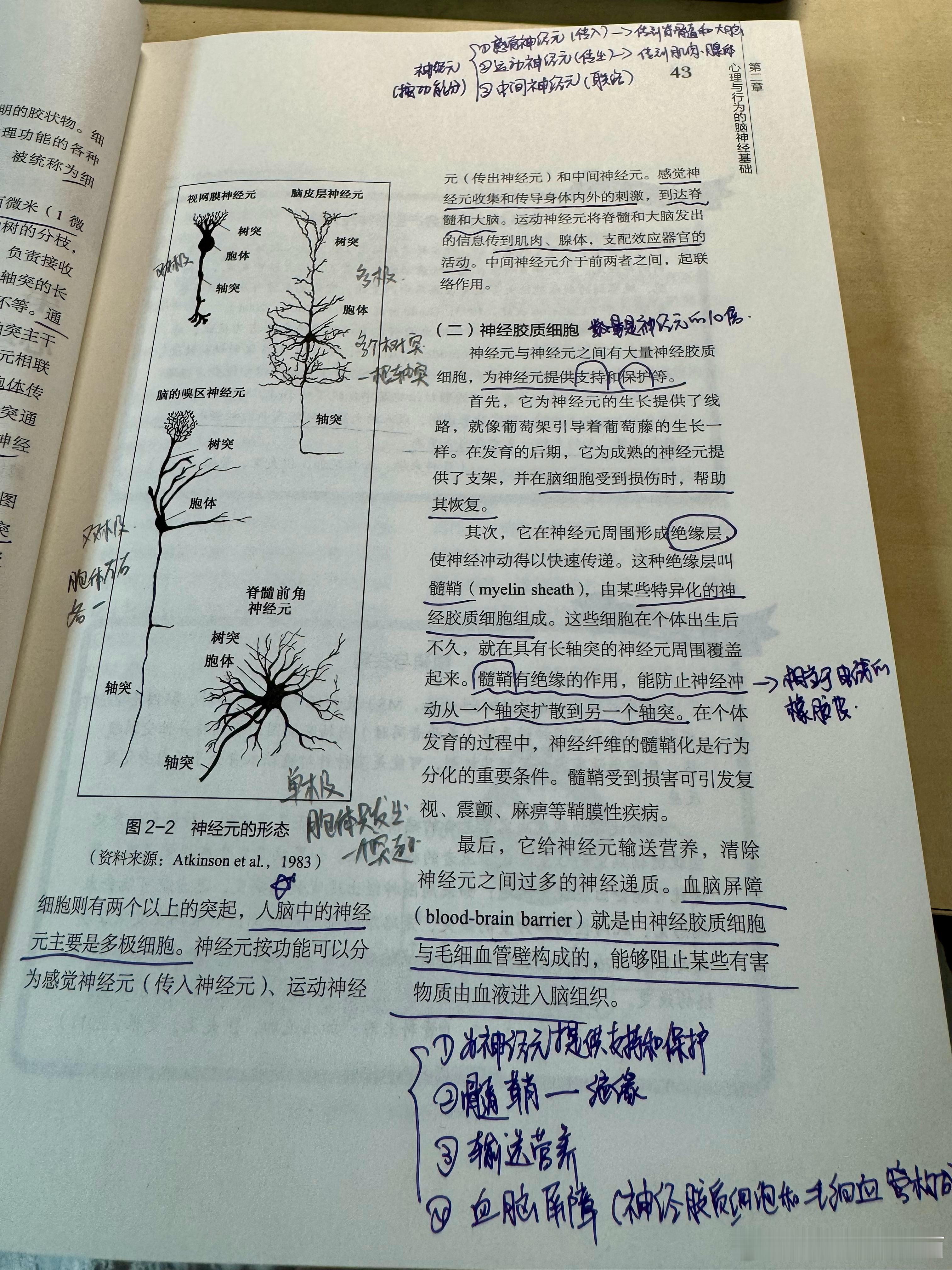 最近可能是近几年里激素最稳定的一个阶段了痘痘不怎么长了，也没啥情绪每天安安静静的
