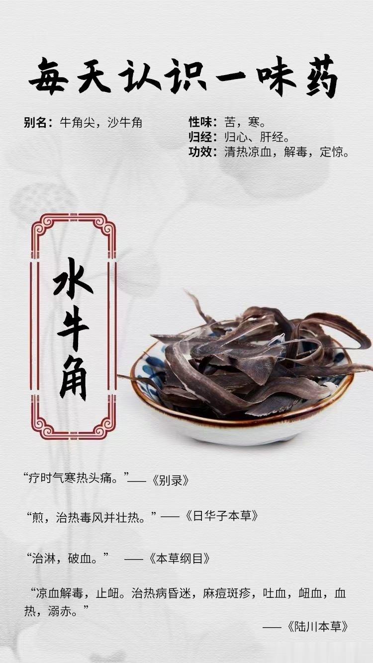 #国医的精诚力量##每天一味中草药##论道岐黄# 【每天一味中药材】[鲜花]水牛