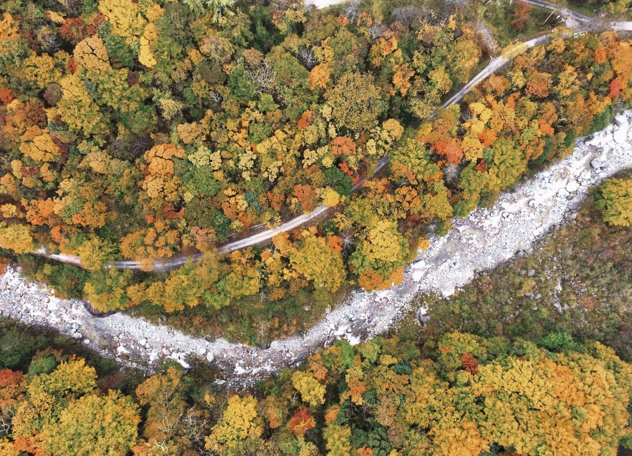 唐家河红叶最新实况来咯！附最佳观赏路线
🍁此刻的唐家河景区已经被秋色染成了童话