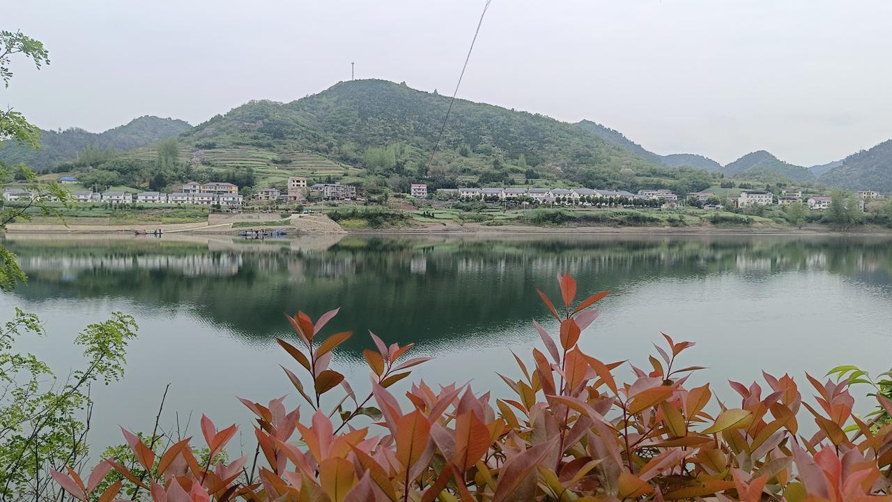 春日生活打卡季 山静水长流，心远地自偏。