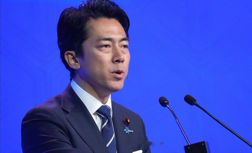 德国之声中文网8月4日晚写道：“日本防卫大臣小泉进次郎在周二（8月4日）发布年度