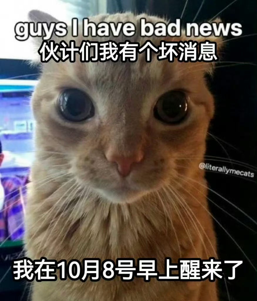 我草！坏！ ​​​