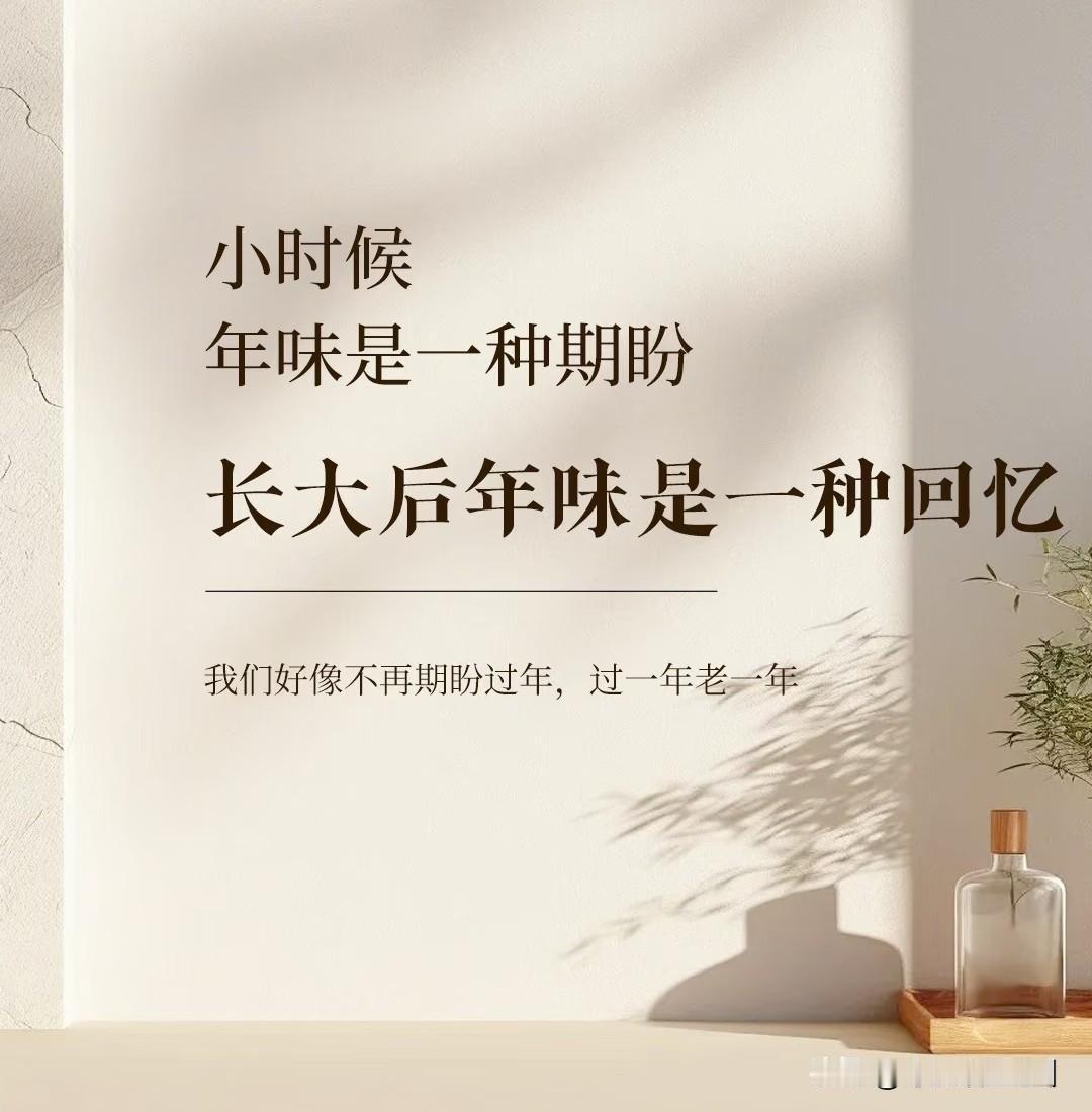 小时候，我们是过年的主角。我们只需要负责开心、收红包、穿新衣、放鞭炮，所有的繁琐