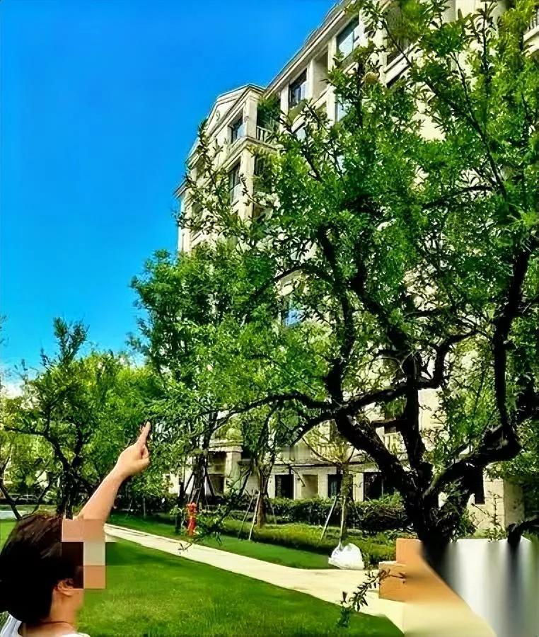 闺蜜急诊医生，昨晚说了实话

饮料当水喝有多可怕？

她戳穿了一个真相：甭管是带