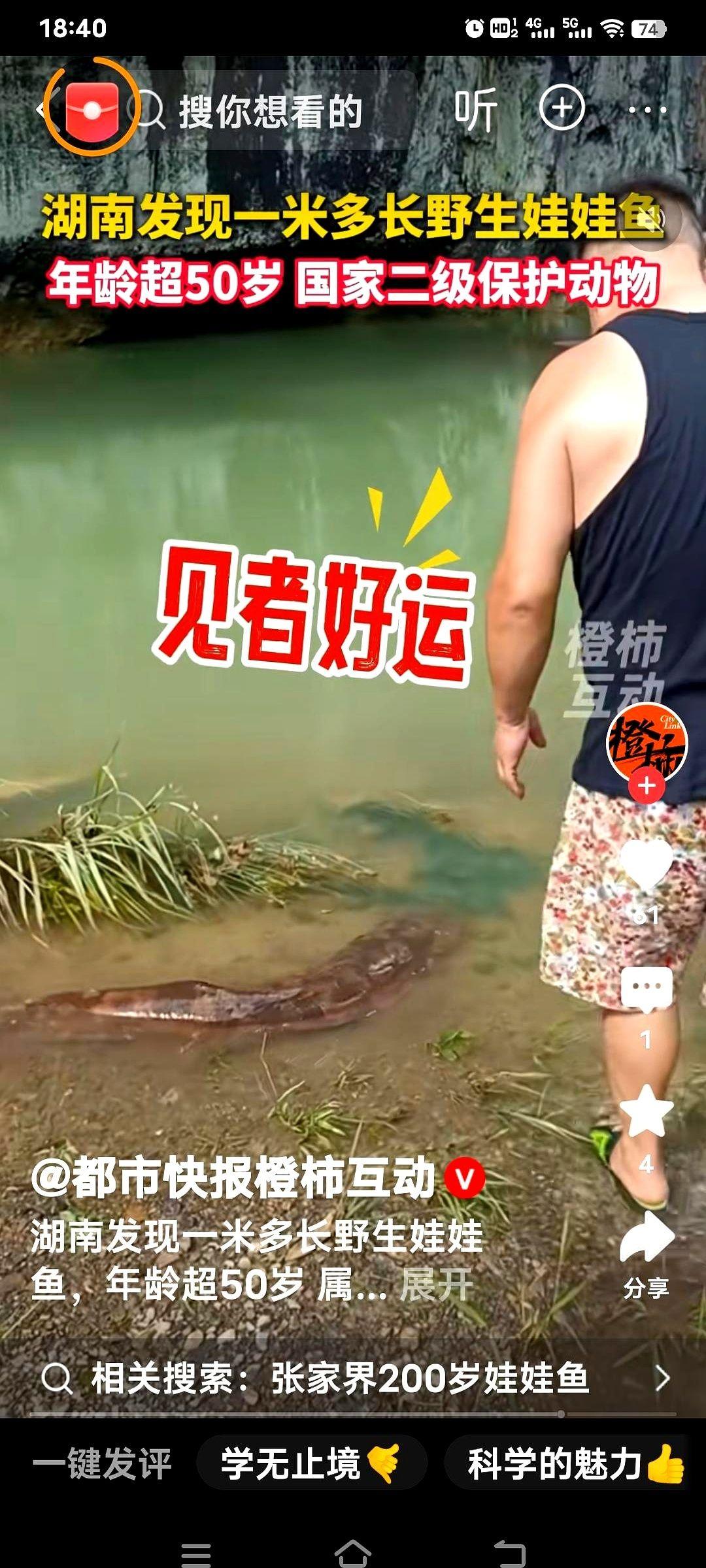 湖南辰溪县，7月7号，一声喊，半个村子的人都涌到了长田湾乡的河沟边。
不是捞着了