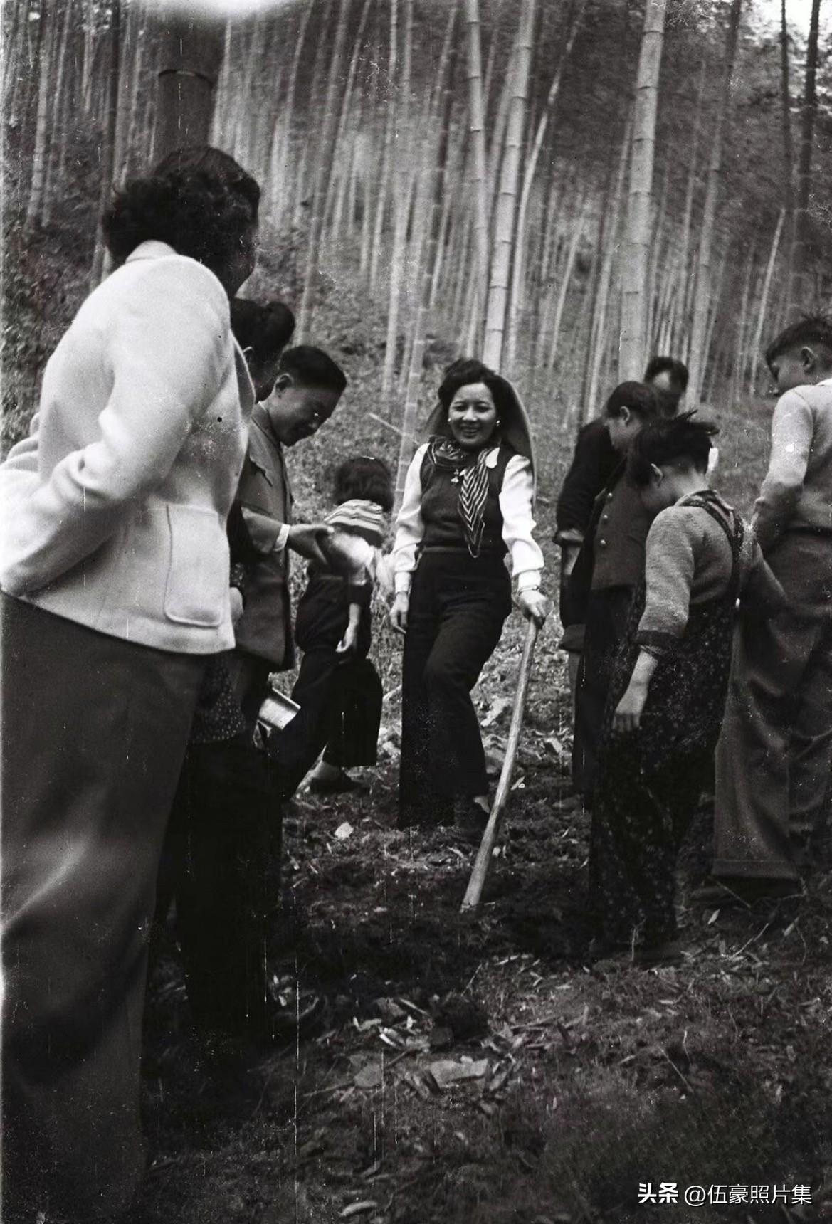1947年清明节，蒋介石、宋美龄及家人返回浙江奉化溪口老家，开展为期十天的祭祖与