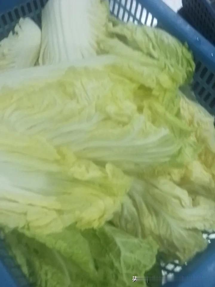 四十岁负债,还有机会从头开始吗?难！四十岁的年纪上有老，大养小顾虑太多，闯劲小了