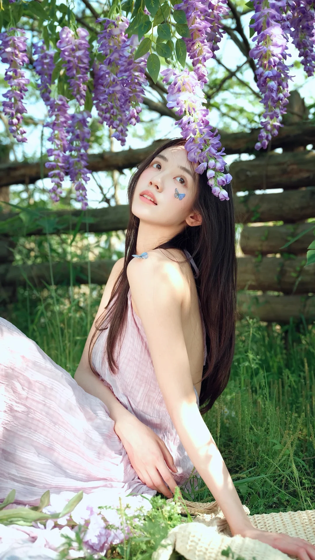紫藤