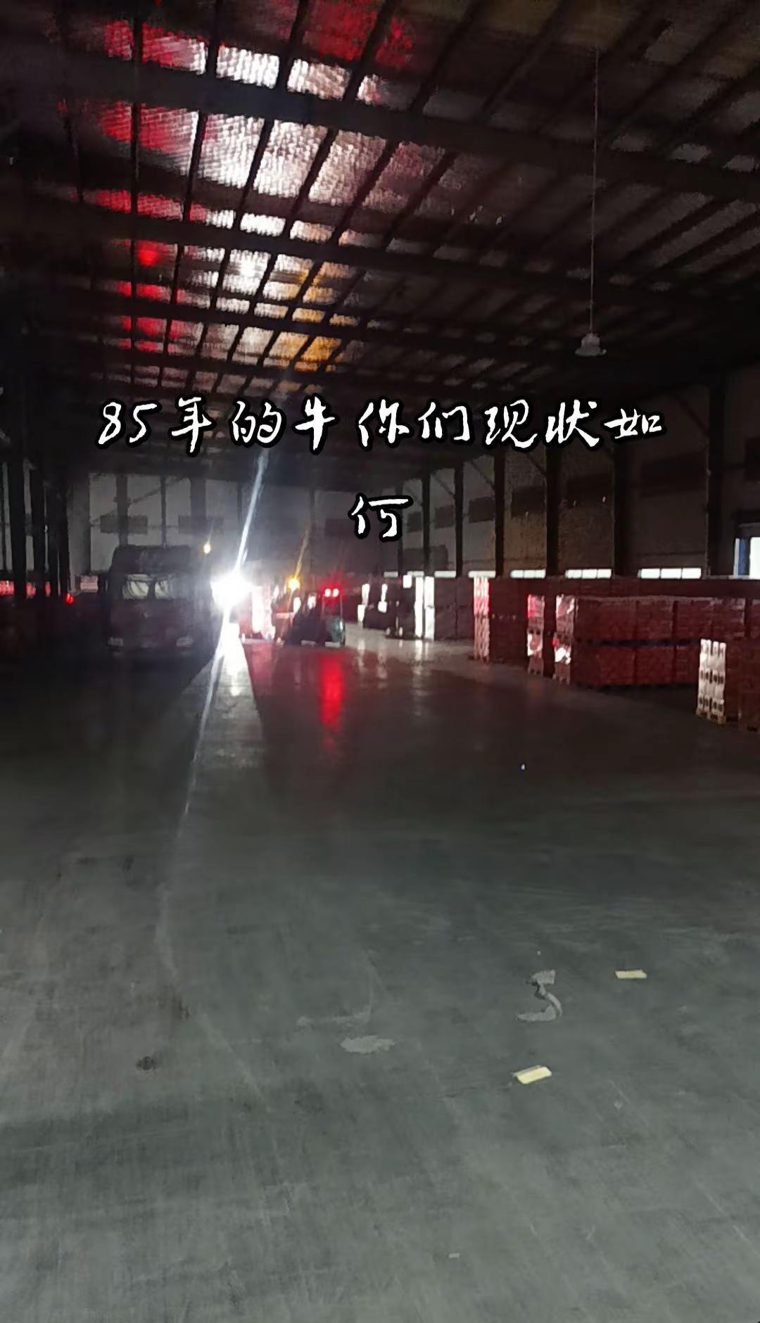 牛哥牛姐牛弟牛妹是否和我被扒了一层又一层皮还不死的有没有