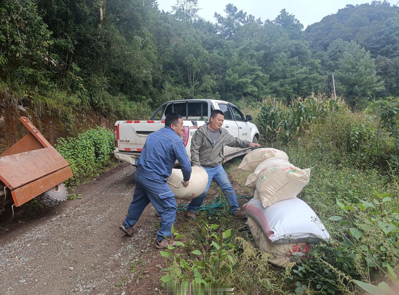 【助人为乐显真情】近日，南方电网云南大理漾濞供电局太平供电所员工在开展巡视作业途