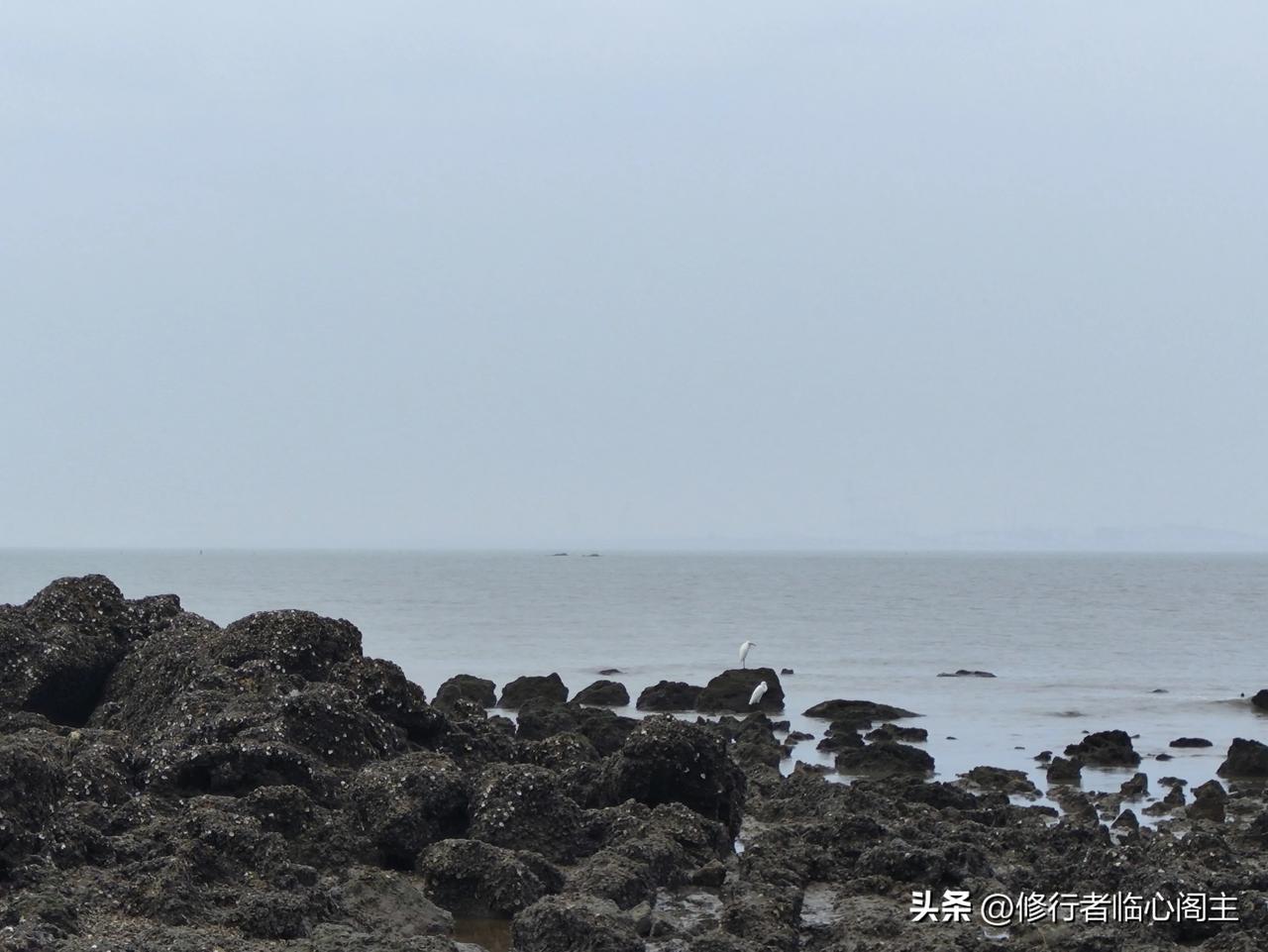 如果你知道你的观看会导致白海豚的死亡，你还会去看吗？
2003开发的小渔村，景区