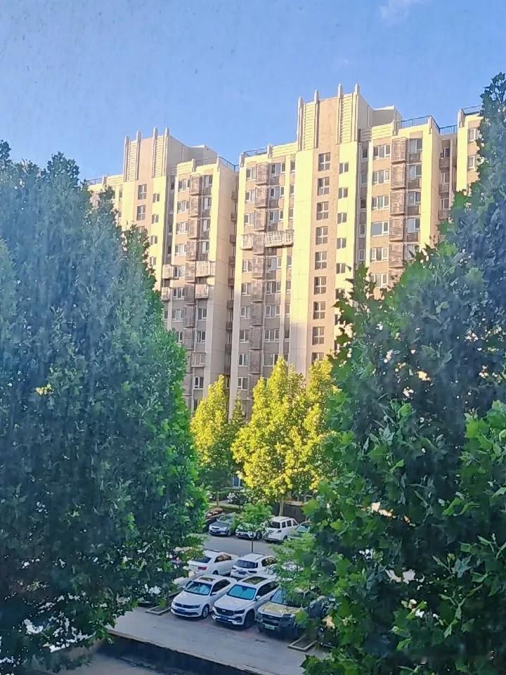 每日一图
心境不同
日子如常
活着
就是在一堆破事里
熬着
没错
熬着
坚持
熬