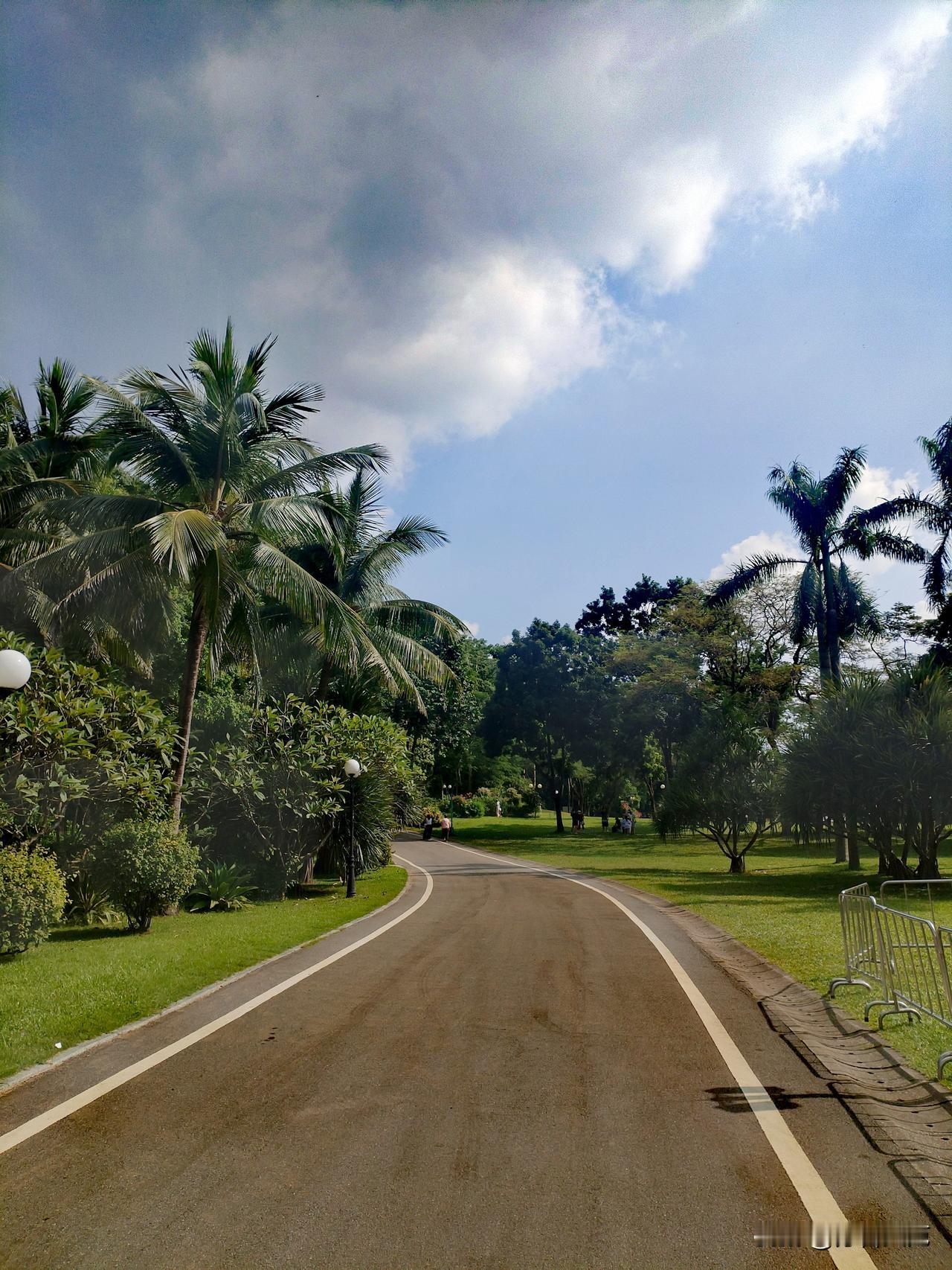 心如一些树叶获得了某种自我陶醉的安慰
——如果在树枝上挂的久了，
我可以在你走过