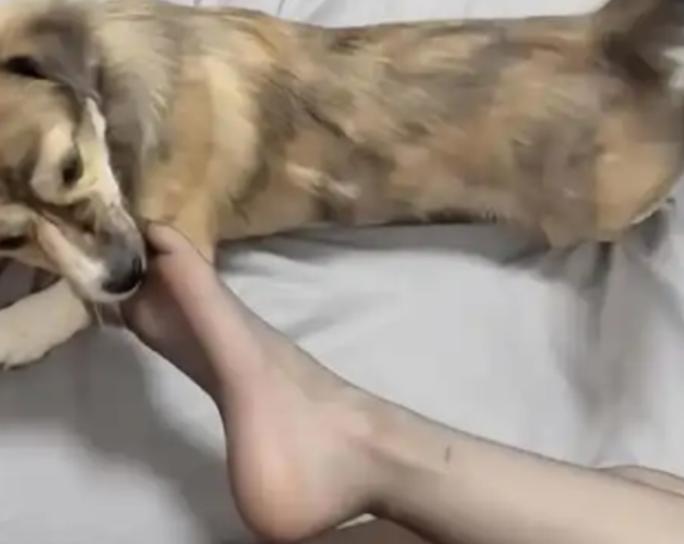云南澜沧，一女子被邻居家小狗咬伤膝盖和脚部，邻居第一时间积极处理、垫付费用带其接