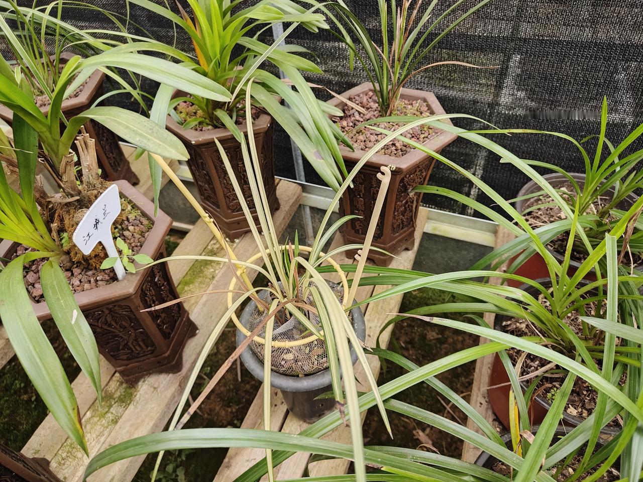 上联：小路清风过，求下联