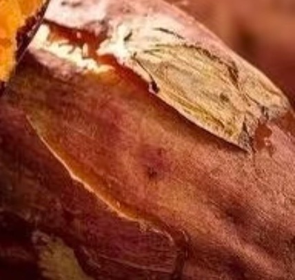 红薯种植方法红薯，又称地瓜，是一种营养丰富、口感独特的根茎类蔬菜。其栽培方法相对