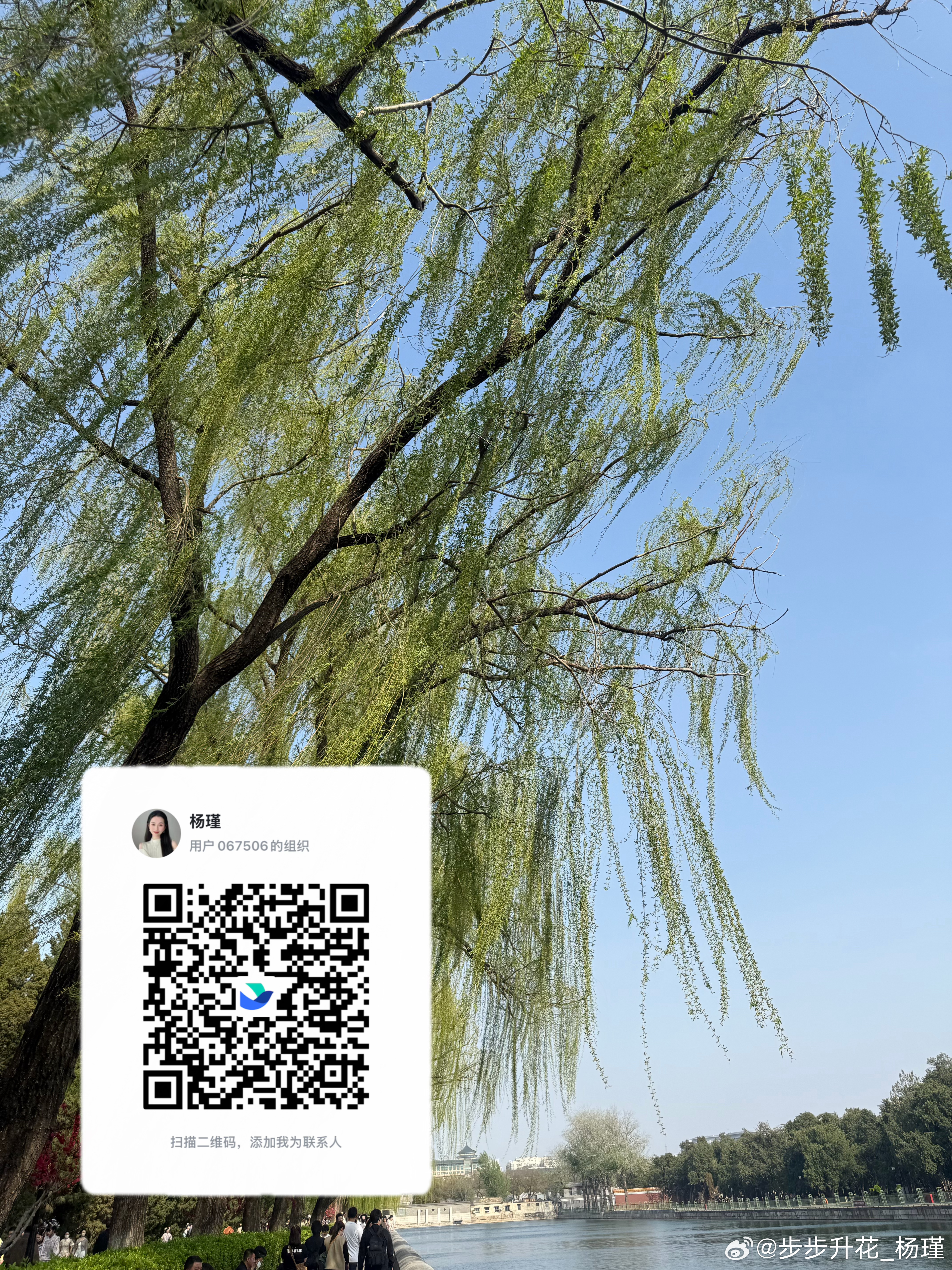 专注现货黄金领域，提供实时专业策略分析，欢迎投资界伙伴垂询交流！V:XAU345