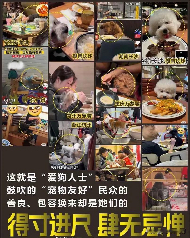 那些天天在网上标榜自己是“大善人”的爱狗人士，今天真让人大跌眼镜。

“嘴上喊着
