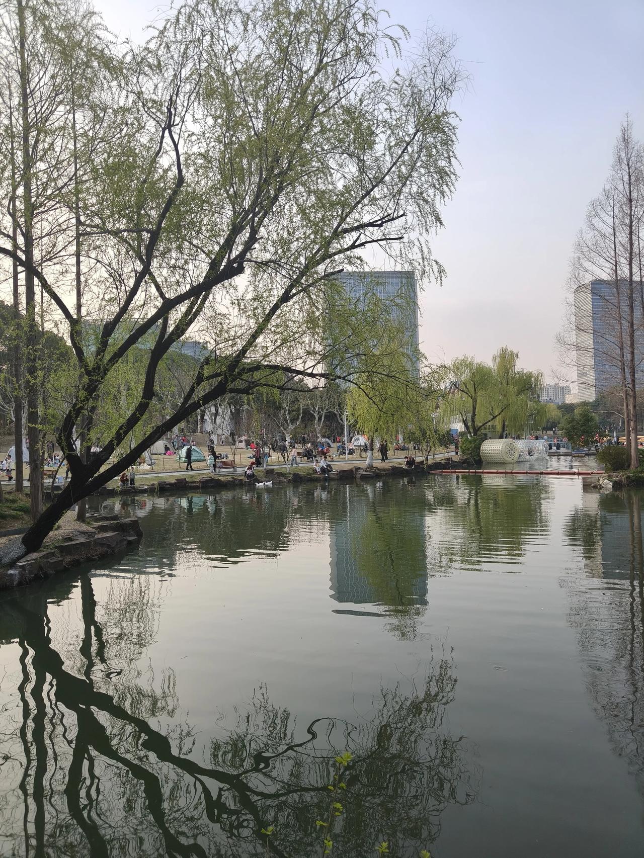 林清玄曾说：“心美，一切皆美；情深，万象皆深。”心怀明月，能将寻常日子过成行云流