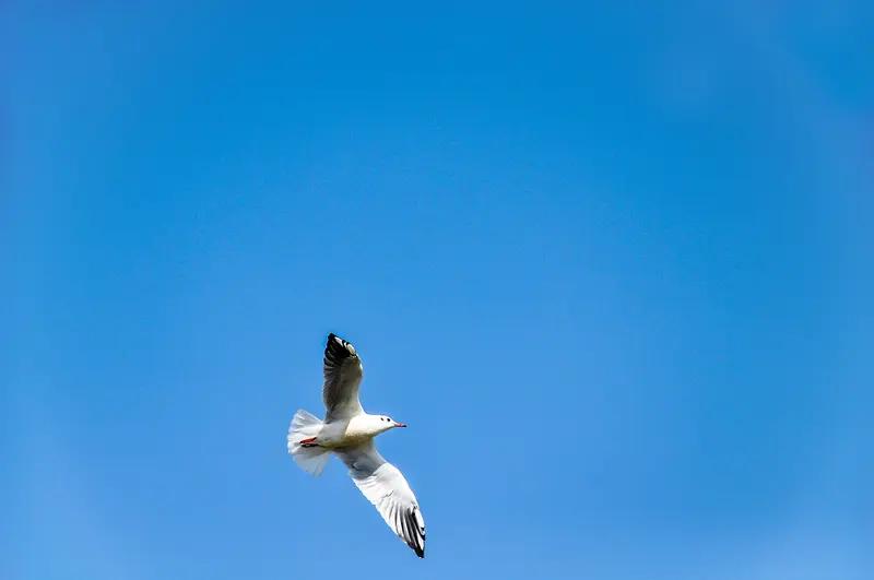 海燕与波塞冬的问世，预示着美帝与北约的援乌要玩完。这是警告，有种你就拱火添柴！普